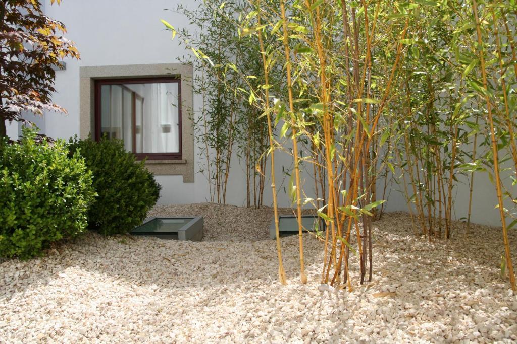 Santo Thyrso Hotel Santo Tirso Bagian luar foto